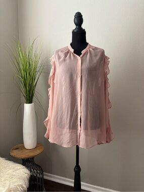 Express Sheer Ruffle-Sleeve Blouse - Pale Pink